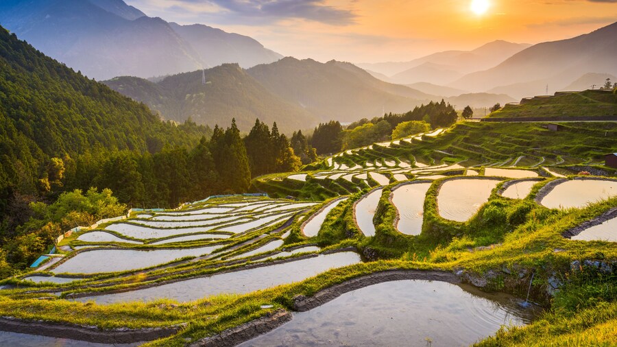 Rice terraces at sunset in Maruyama-senmaida, Kumano, Japan.