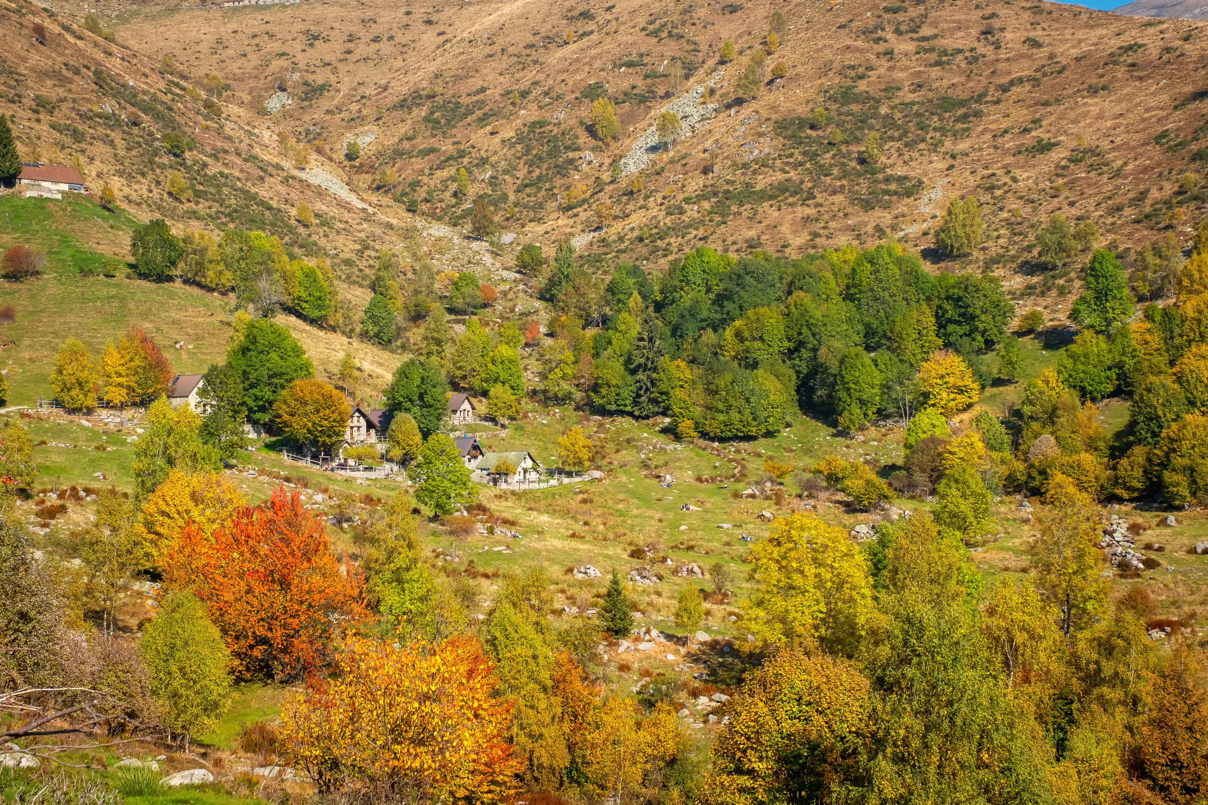 View of a mountain pasture in the Valdilana region (Piedmont, Northern Italy). This area is a famous nature reserve, full of trekking paths.