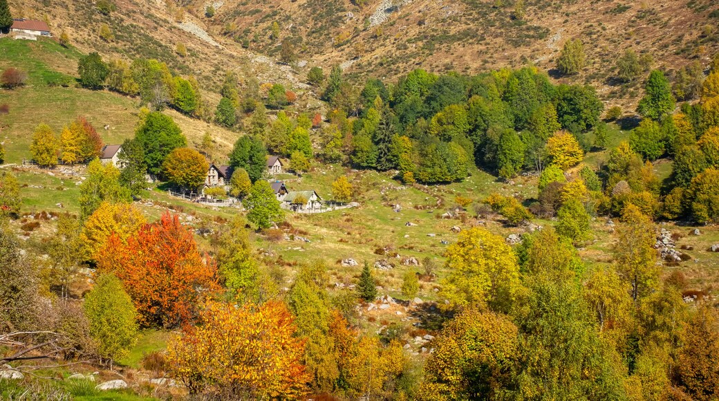 ヴァルディラナ