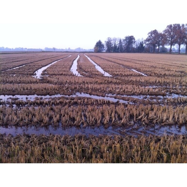 #country
