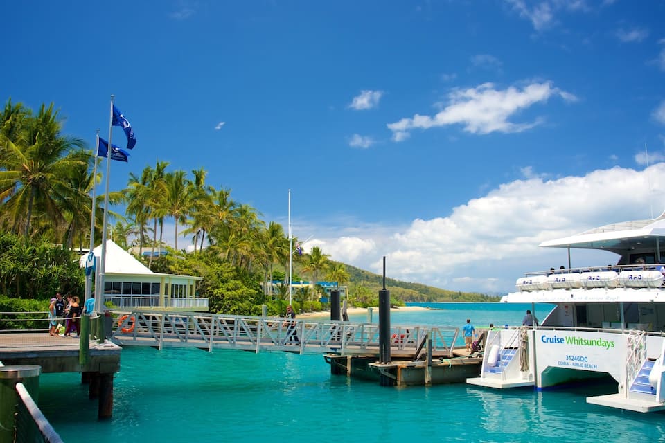 A cruise ship docked at a pier with palm trees and a clear blue sky in the background.