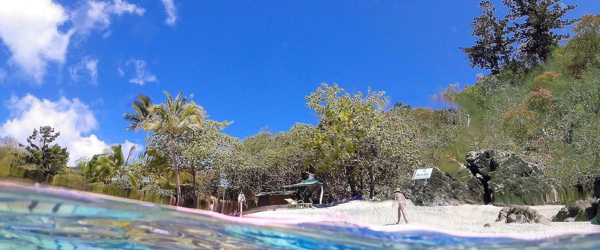 Lovers Cove at @daydreamislandresortandspa is a must see spot if you love snorkelling! ☀️🐠🐟🌴😀
#lovewhitsundays #thisisqueensland #seeaustralia #GoProANZ