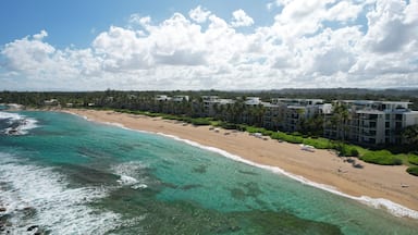A beach with clear turquoise waters, a sandy shore, and a row of modern buildings with palm trees.
