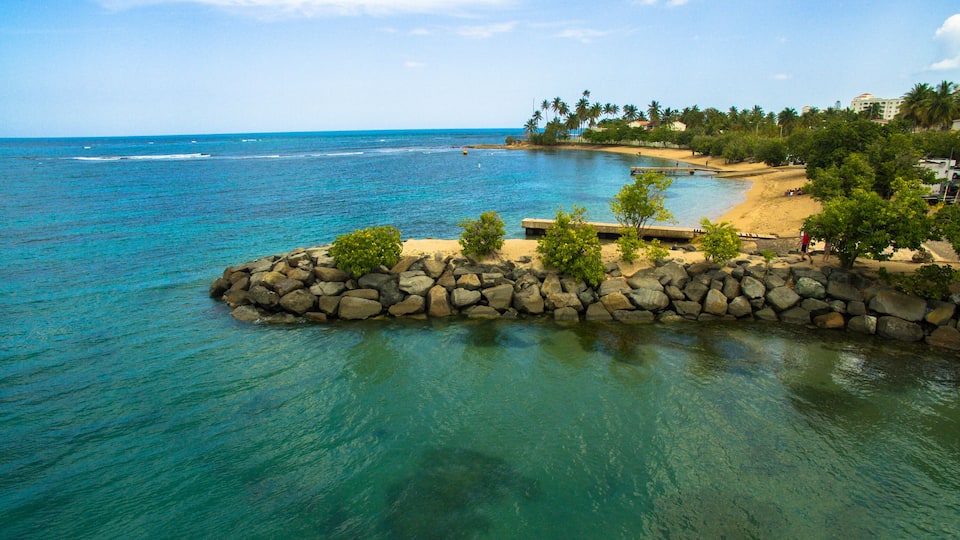 A rocky island with clear turquoise water, surrounded by a sandy beach and palm trees.