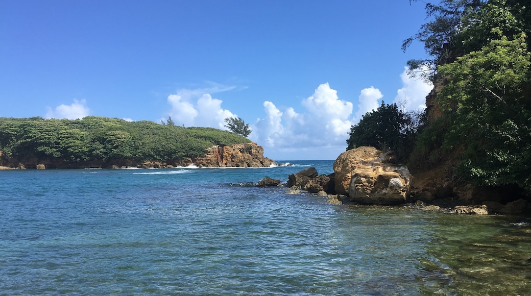 At the beach in Puerto Rico Dorado
#LifeAtExpedia