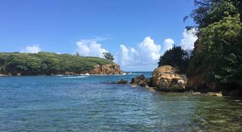 At the beach in Puerto Rico Dorado
#LifeAtExpedia