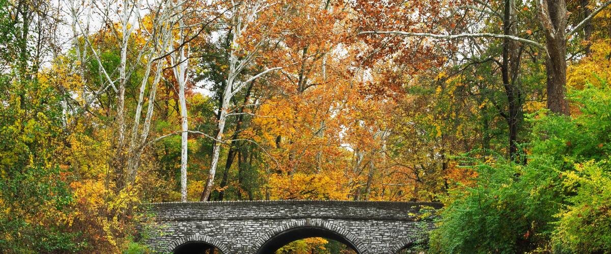 A stone bridge over a waterfall surrounded by autumn foliage.