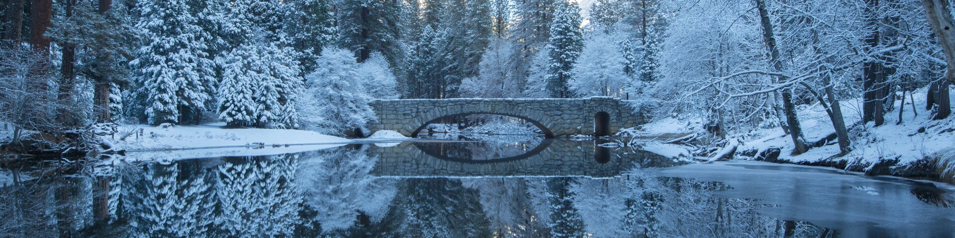 winter reflection of the trees in yosemite national park