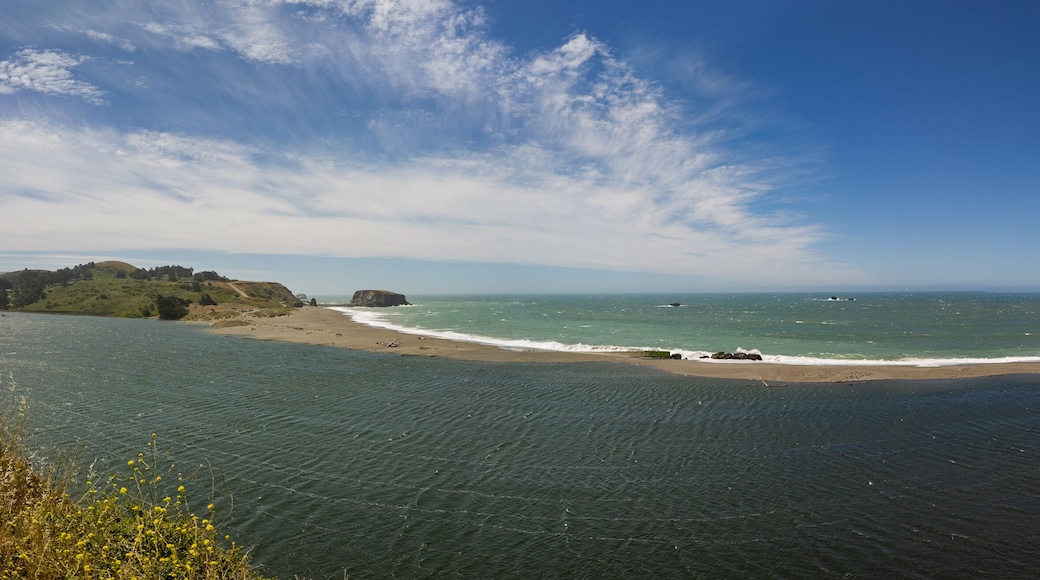Panoramic view of the Russian River blocked by a sandbar in Jenner