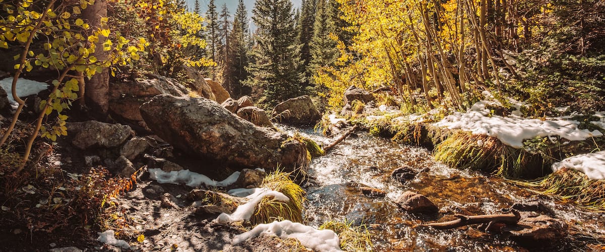 Season changing, first snow and autumn trees