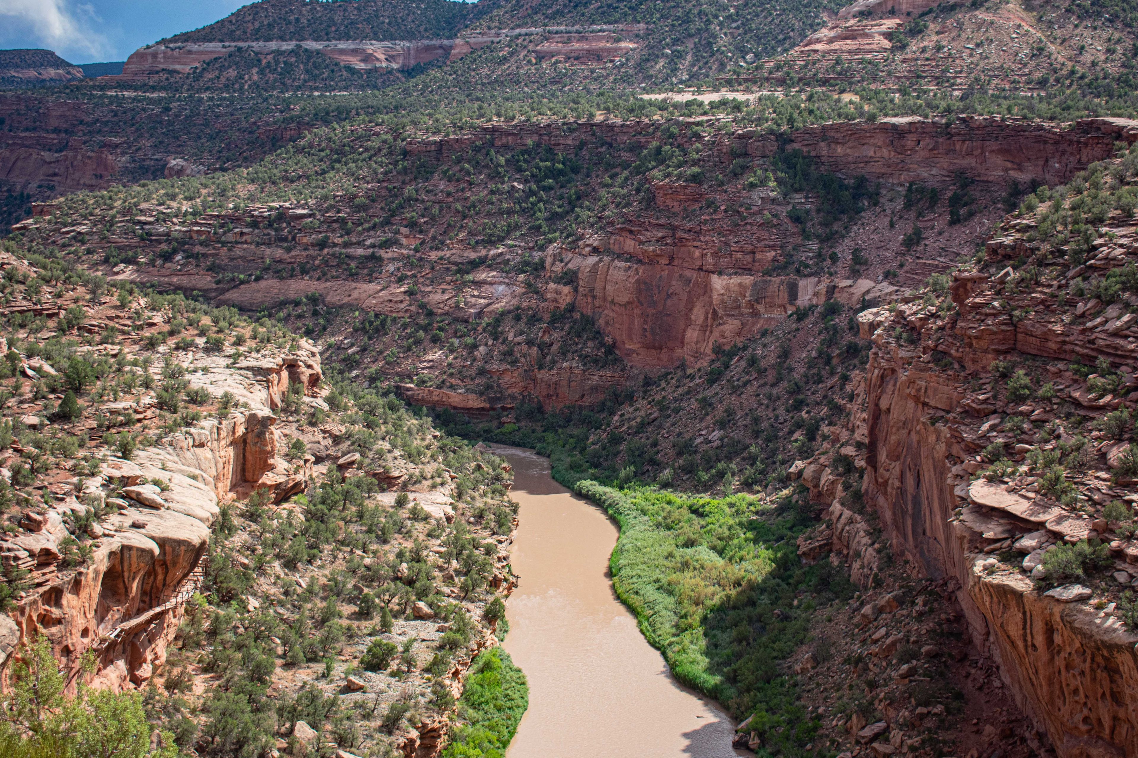 A canyon with a river winding through it, surrounded by rocky cliffs and sparse vegetation.