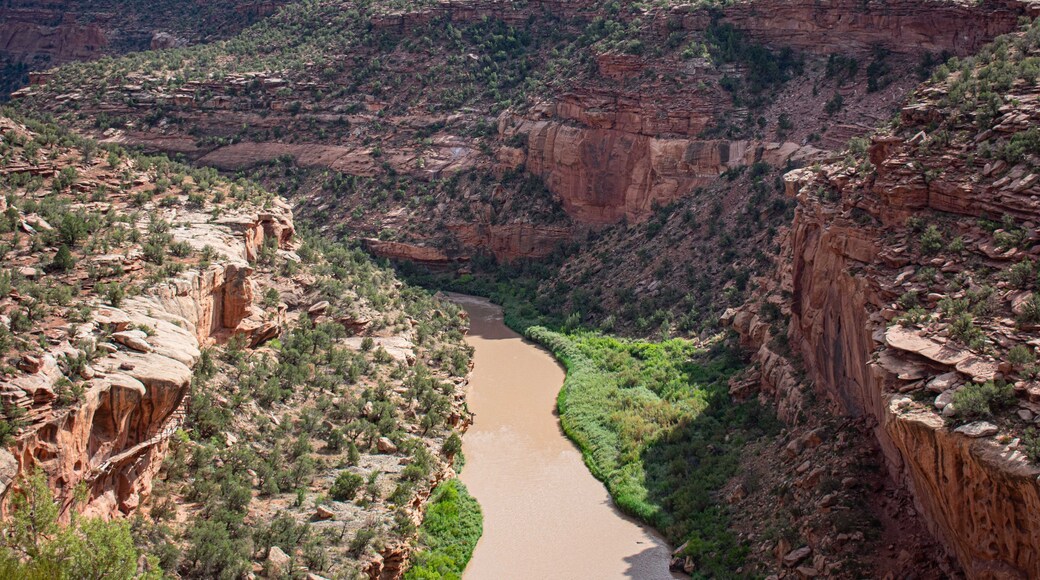 A canyon with a river winding through it, surrounded by rocky cliffs and sparse vegetation.