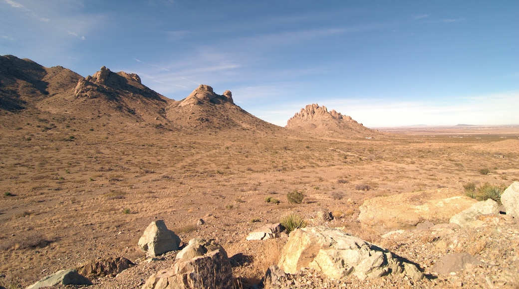 New Mexico Landscapes /