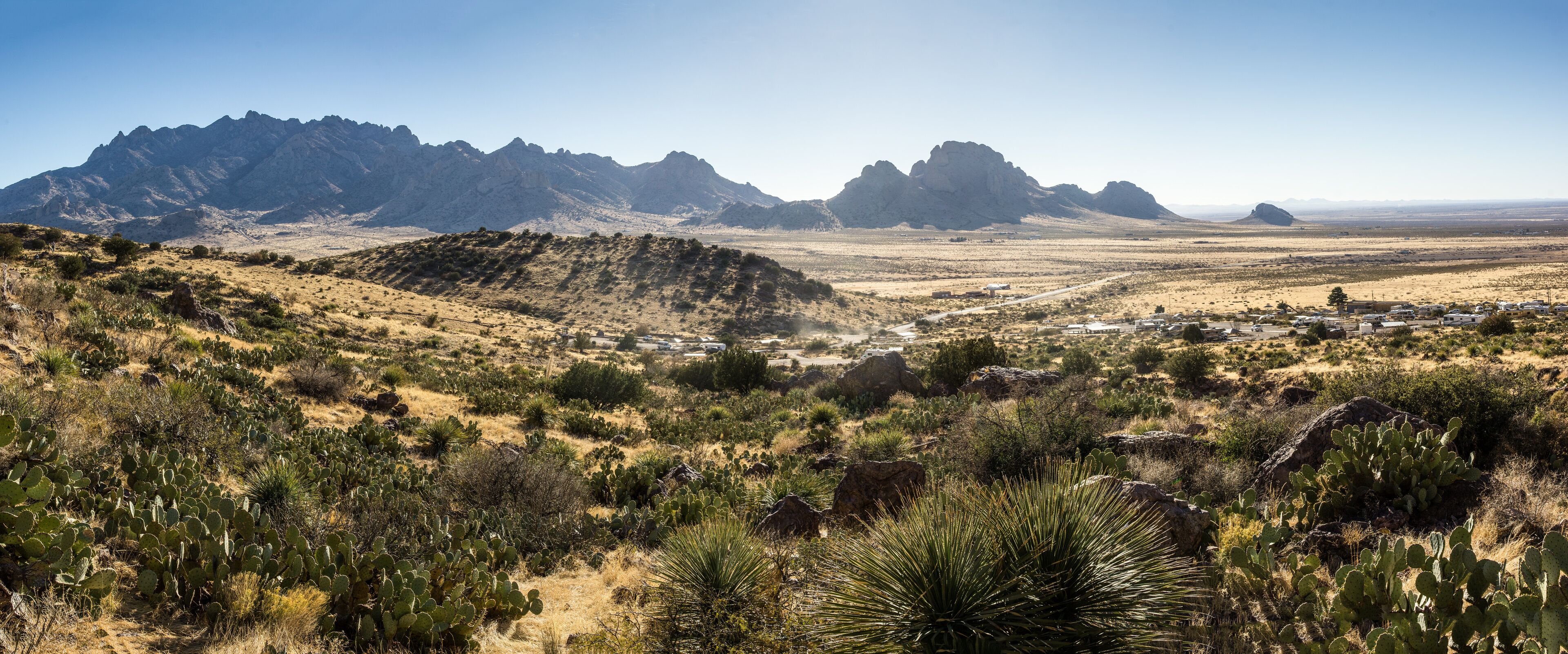Campground at Rock Hound State Park, NM, USA
