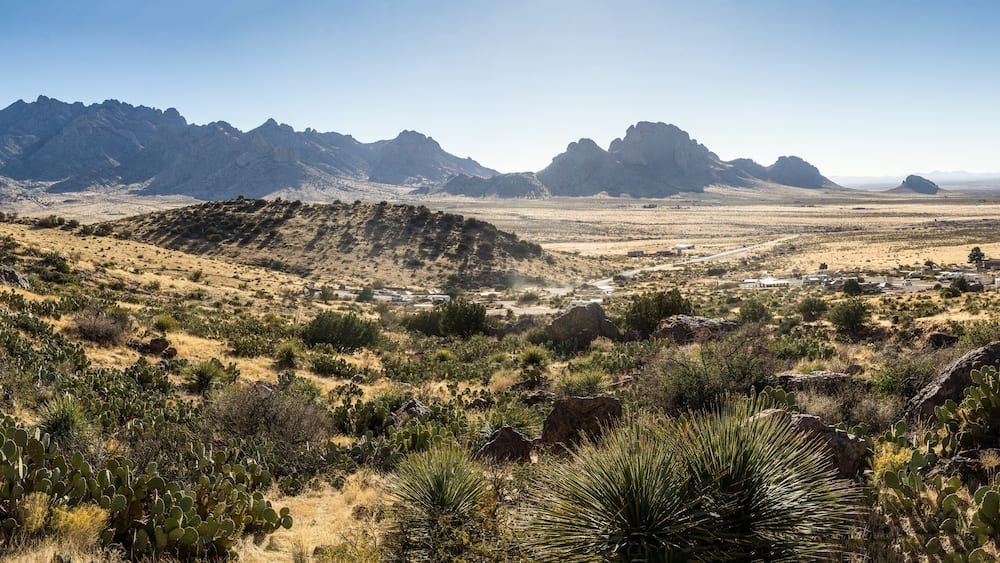 A desert landscape with mountains in the background and sparse vegetation in the foreground.