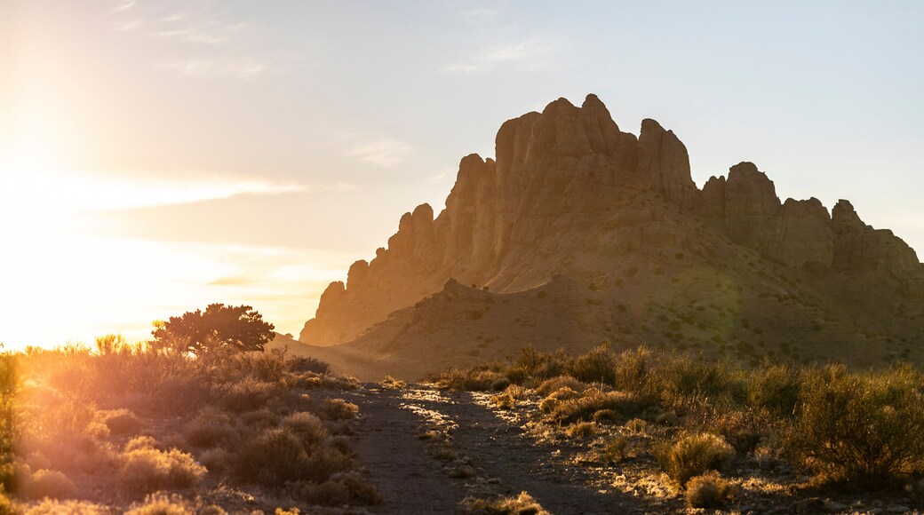 Beautiful golden hour light over a desert mountain with a dirt road leading up to it