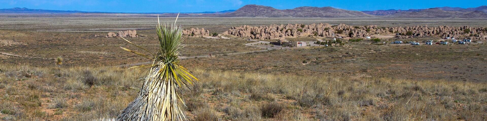 Soaptree Yucca frames City of Rocks State Park in southern New Mexico