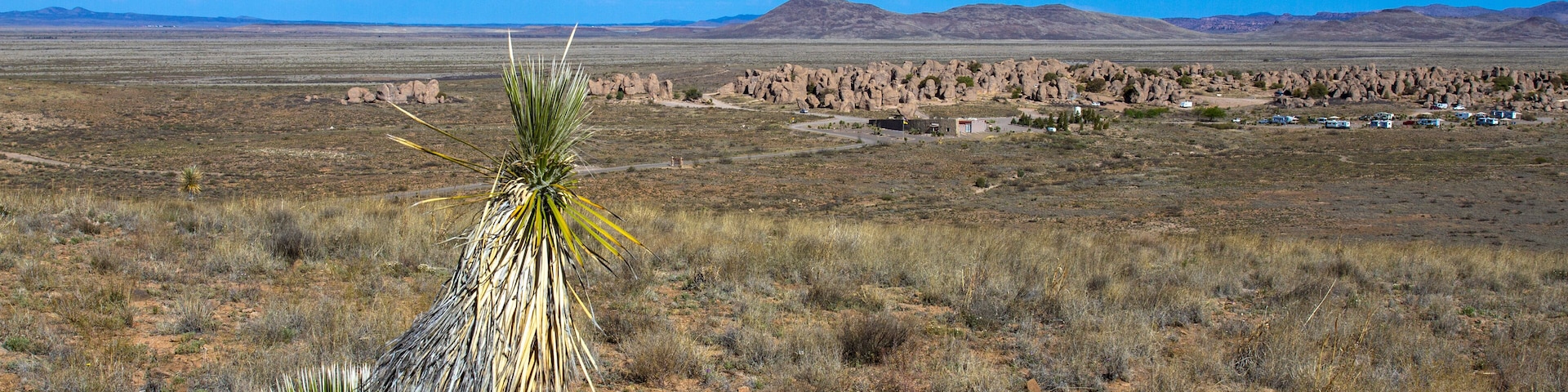 Soaptree Yucca frames City of Rocks State Park in southern New Mexico
