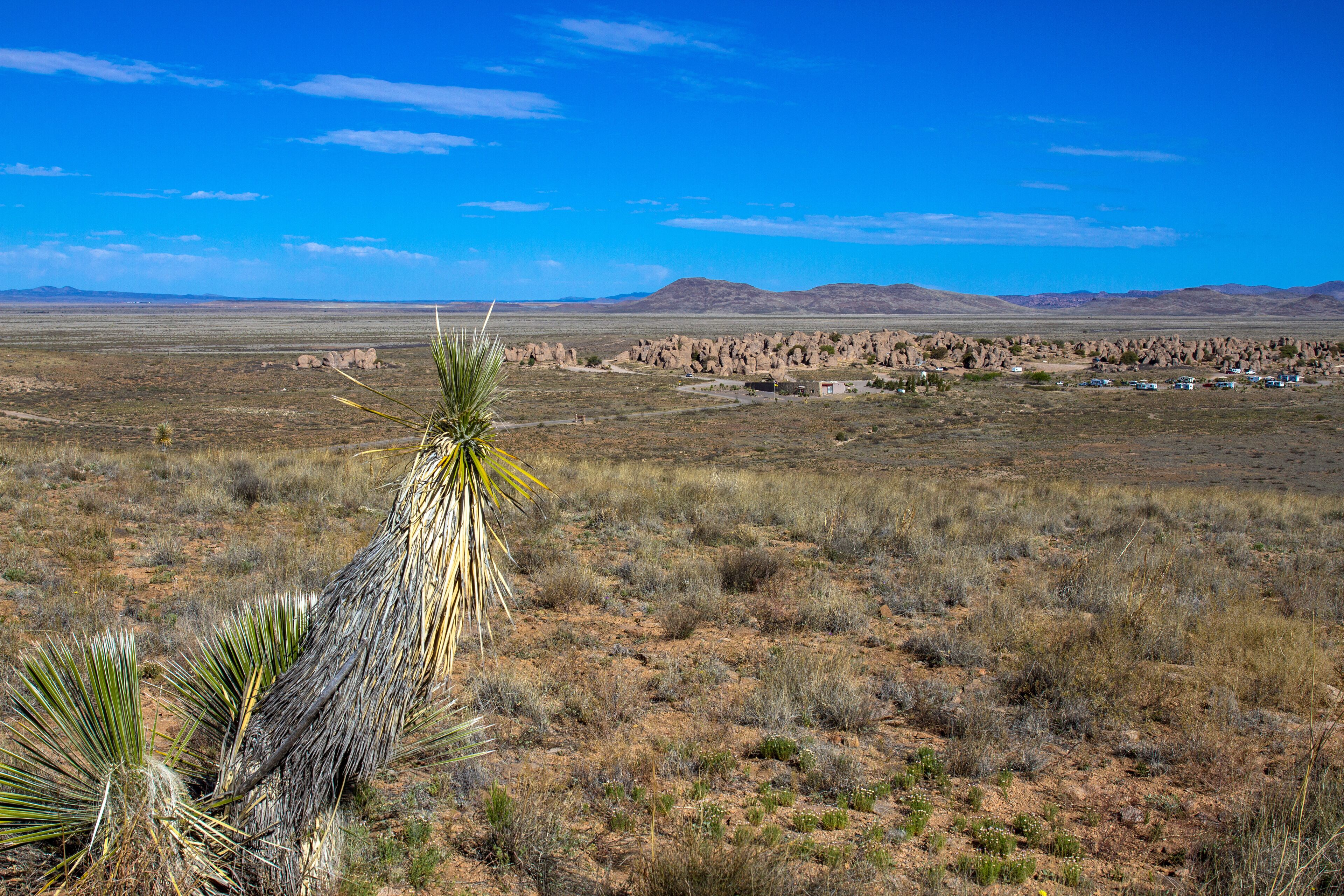 A desert landscape with sparse vegetation, a prominent yucca plant, and distant mountains under a clear blue sky.