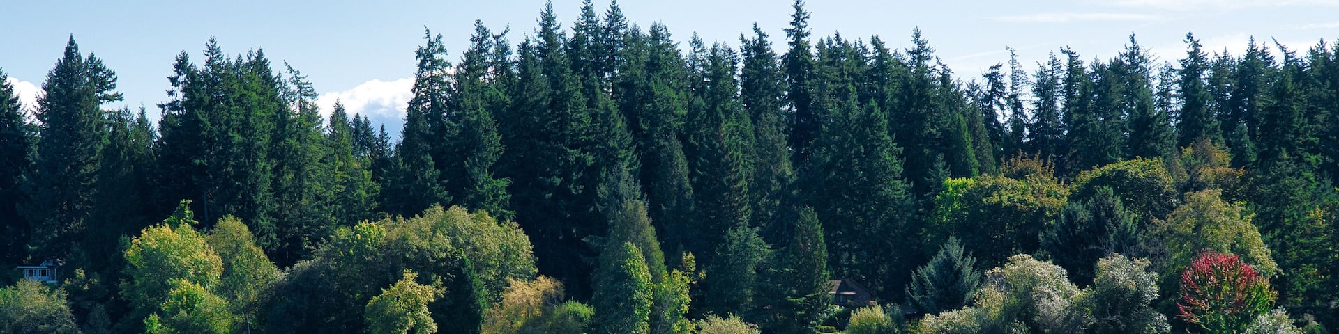 2019-09-30 PHANTOM LAKE IN BELLEVUE