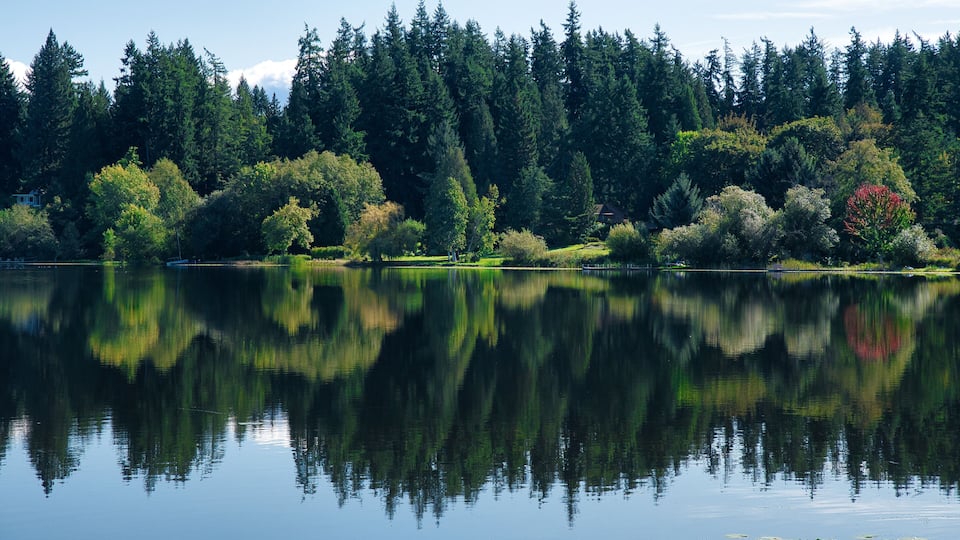 A calm lake with dense forest and a few buildings in the background.