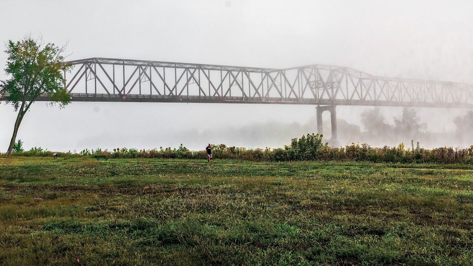A bridge over a body of water, surrounded by a grassy field with a single tree and a person walking.