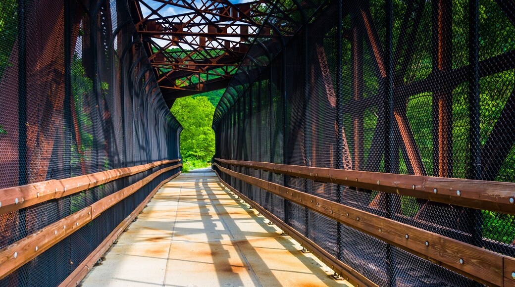 Railroad and pedestrian bridge at Lehigh Gorge State Park, Penns