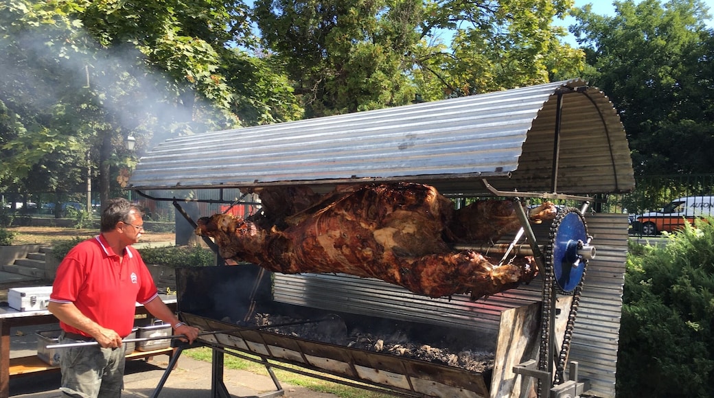 If you want to eat something special, this bbq might be something for you. Don't think it's served daily but call in advance I guess. #tasty