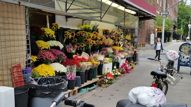 Uma floricultura com uma variedade de flores coloridas expostas na vitrine.