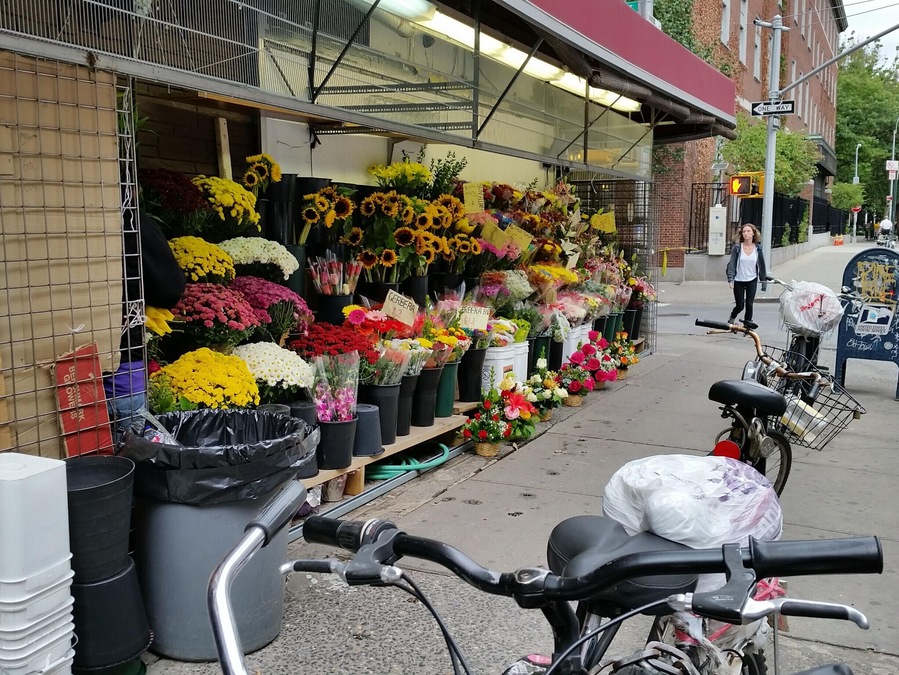 Fantastische Blumen & Sträussen :) 
http://schweiblumen.ch