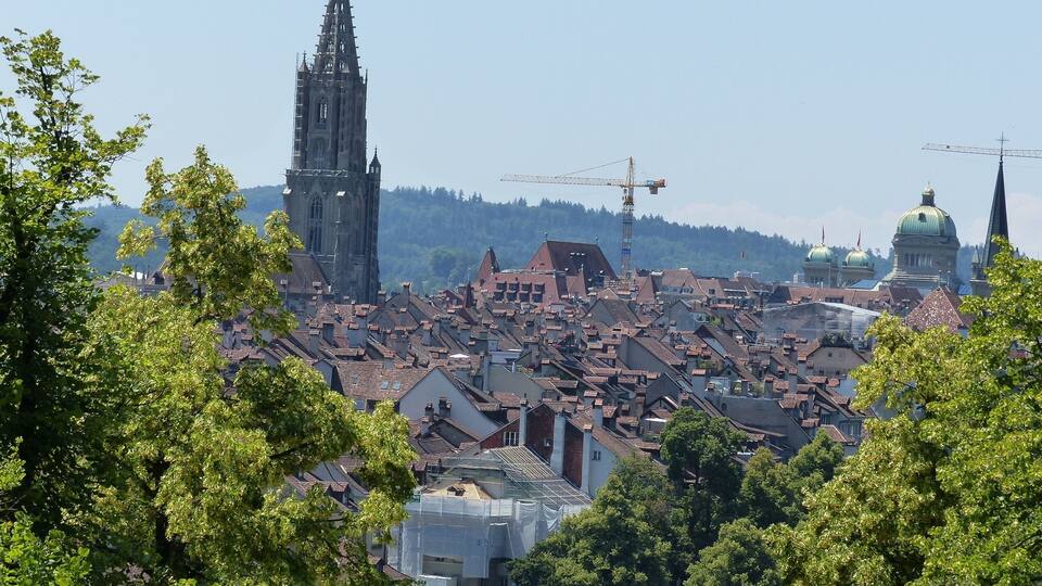A cityscape with a prominent cathedral, construction cranes, and lush green trees.