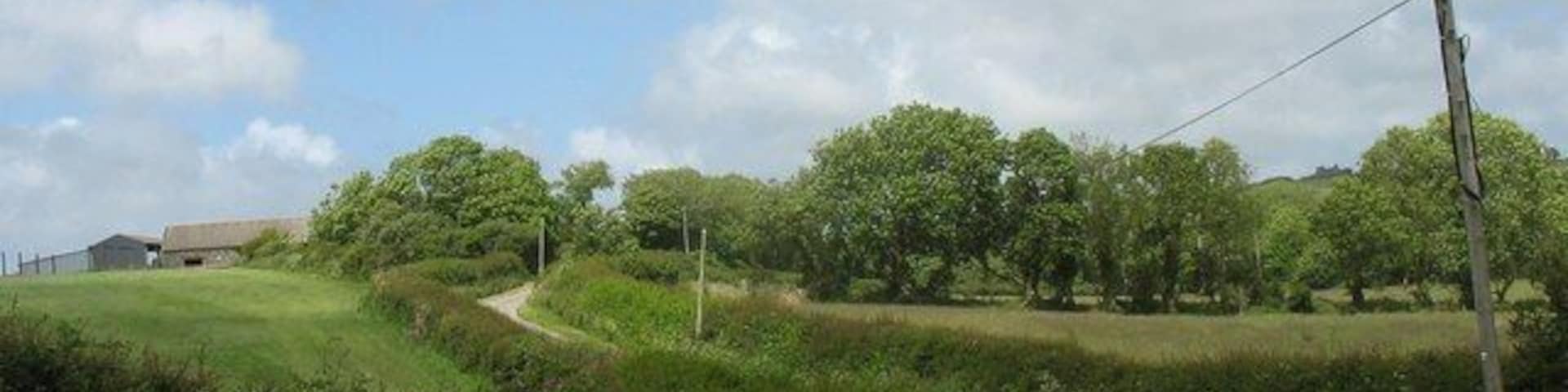Bend in the road west of Bron-heulog Farm Bron-heulog means "sunny brae".