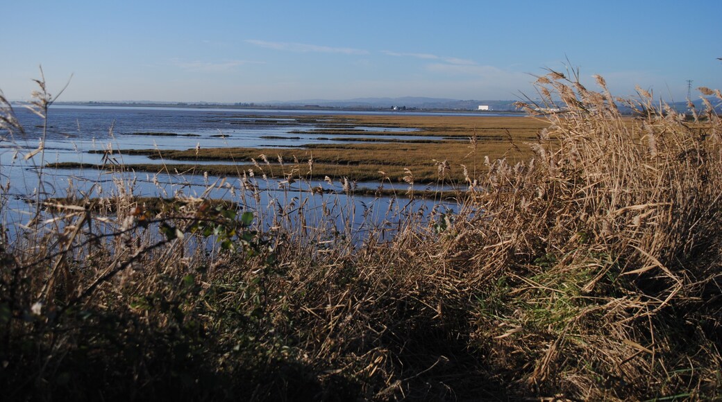 Newport Wetlands, an RSPB reserve in Newport, South Wales.