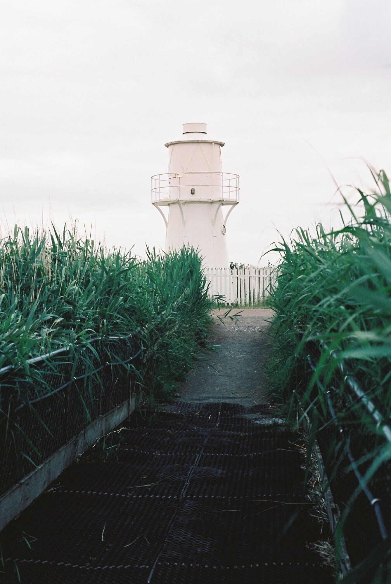 Nice walk on a summers day. Was a bit overcast but I like it. Shooting some film for the first time in over 10 years.