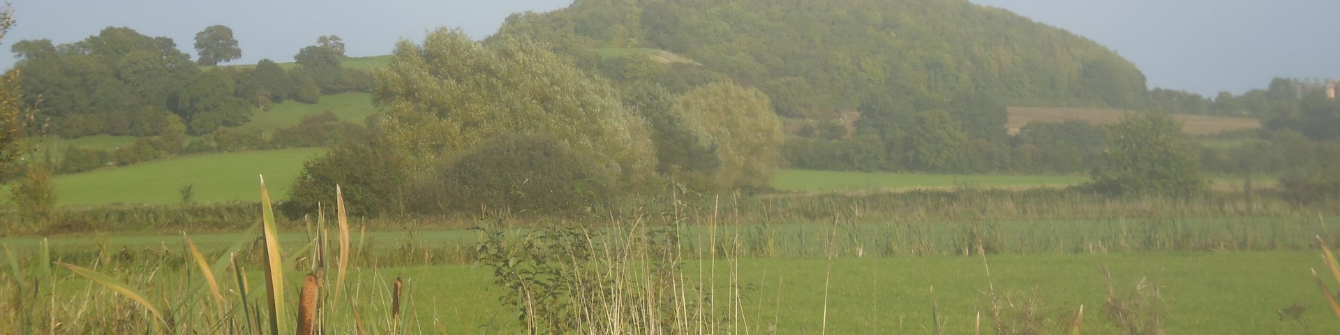 Prehistoric hillfort. Wilcrick Hill Camp. This is a scheduled monument. Cadw SAM: MM127.
