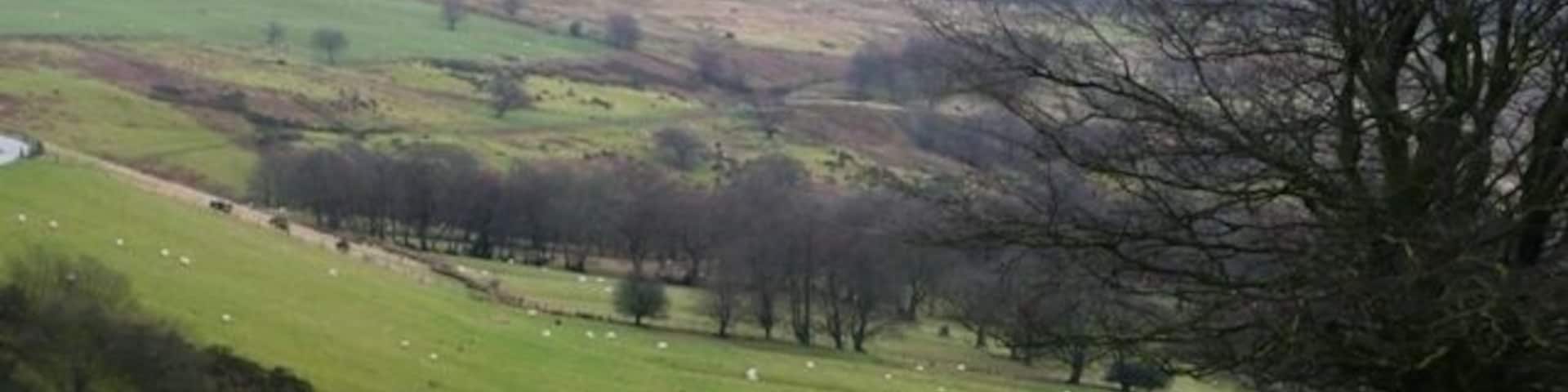 Overlooking Cwm Cyffin From the north east. This valley is mainly sheep pasture with some horse activity.