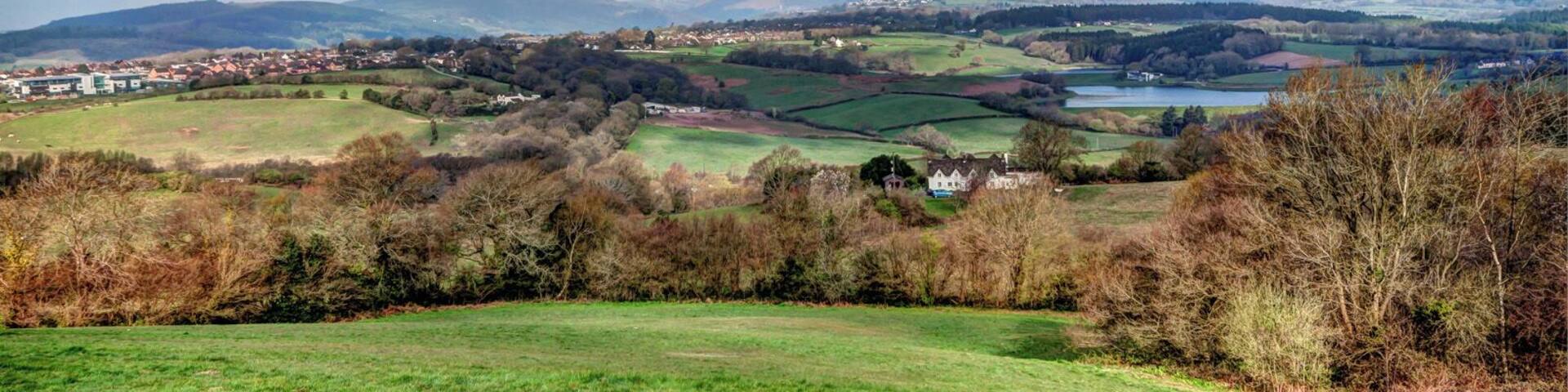 Newport, Wales MG_0131