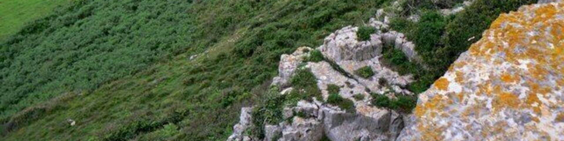 A coastal landscape with green fields, rocky cliffs, and a view of the sea.