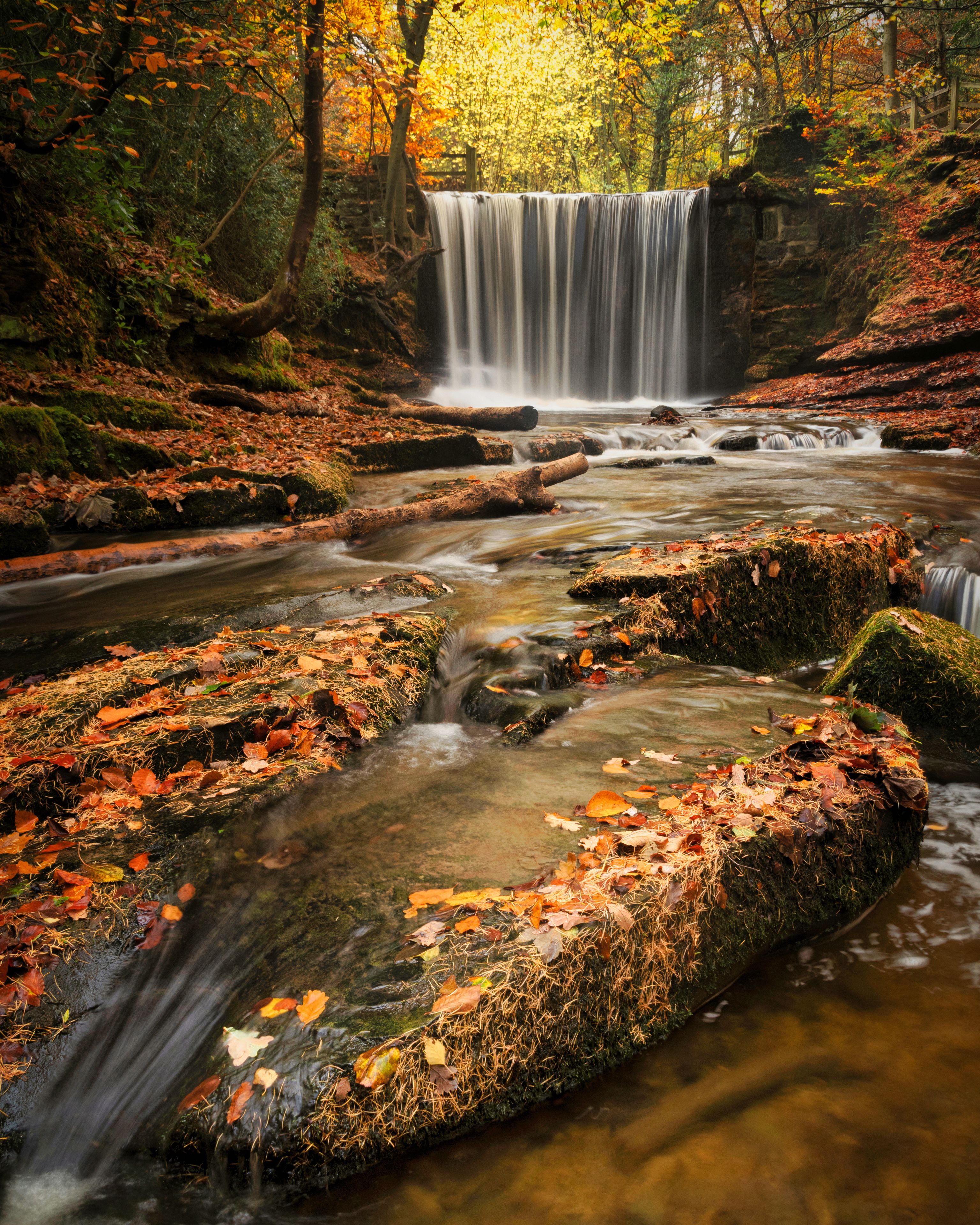 Una cascata in una foresta con foglie autunnali.