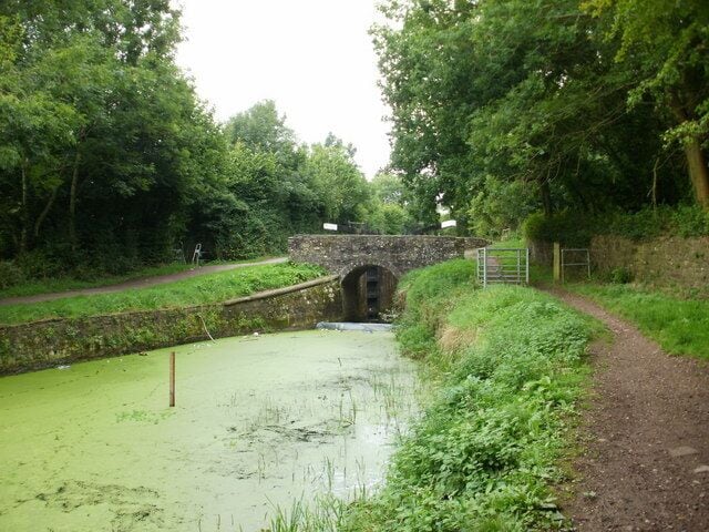 Bettws