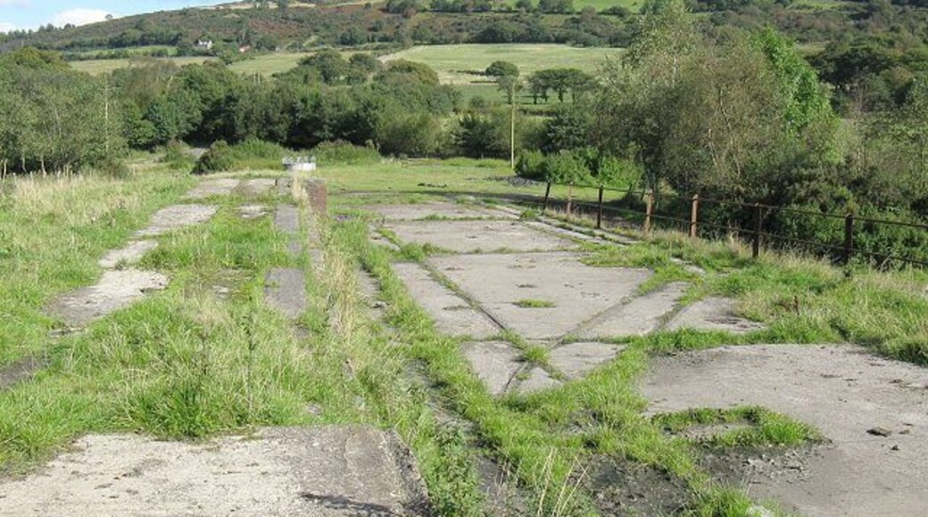Overgrown tramways This seems to have been some kind of processing area for the old Pwll Bach or Betting collieries. Only these crossing and looping tracks on a concrete surface remain. The tracks are on three different height levels. The land has now been returned to farm use (as can be seen from the cattle feeders in the distance) and is slowly being covered with mulch and grass. Directly along the line of the tracks in the photo, at the first hedge, is where I'm guessing the tunnel to Ystalyfera emerged but alas there is no sign of it now.