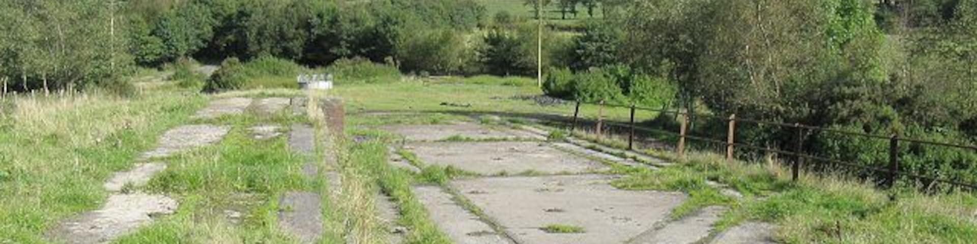 Overgrown tramways This seems to have been some kind of processing area for the old Pwll Bach or Betting collieries. Only these crossing and looping tracks on a concrete surface remain. The tracks are on three different height levels. The land has now been returned to farm use (as can be seen from the cattle feeders in the distance) and is slowly being covered with mulch and grass. Directly along the line of the tracks in the photo, at the first hedge, is where I'm guessing the tunnel to Ystalyfera emerged but alas there is no sign of it now.