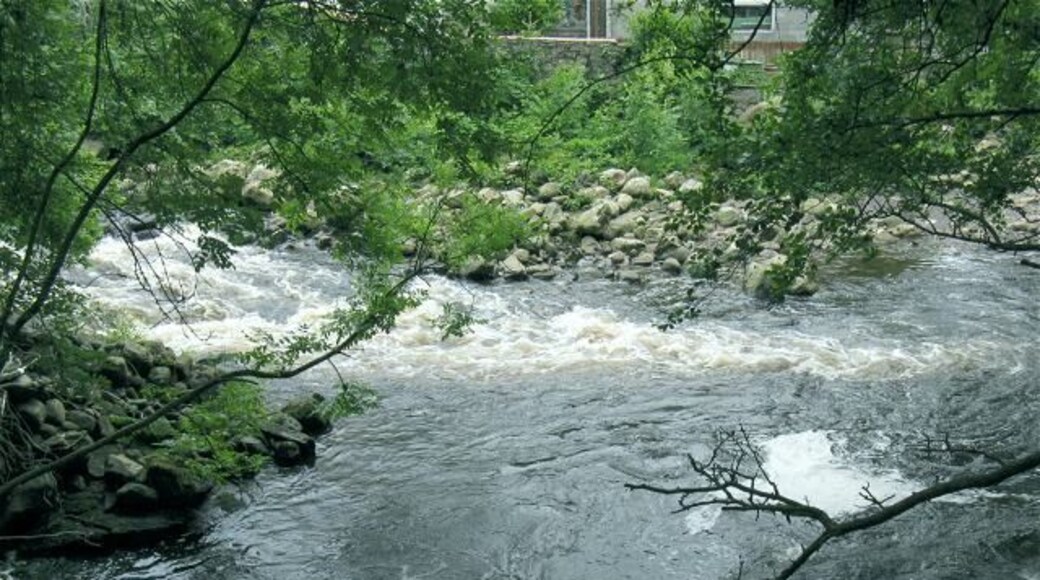 Confluence of Twrch and Llynfell Three counties meet here. This shot is taken from the footbridge over the Llynfell which flows in from the bottom, dividing Carmarthenshire from Neath-Port Talbot. The Twrch flows left to right separating them both from Powys.