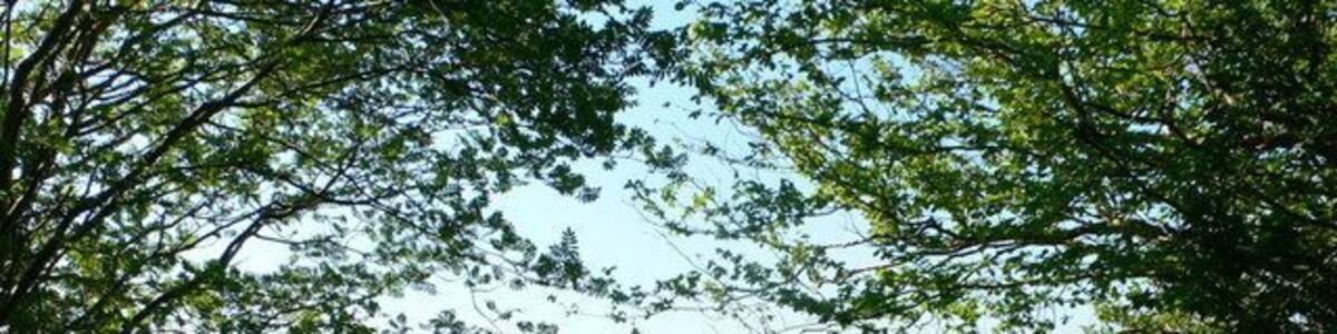 View to the Hiraethog mountains The Clocaenog Forest is on the tops of the mountains in the far distance. The village of Cyffylliog to the right in the valley.