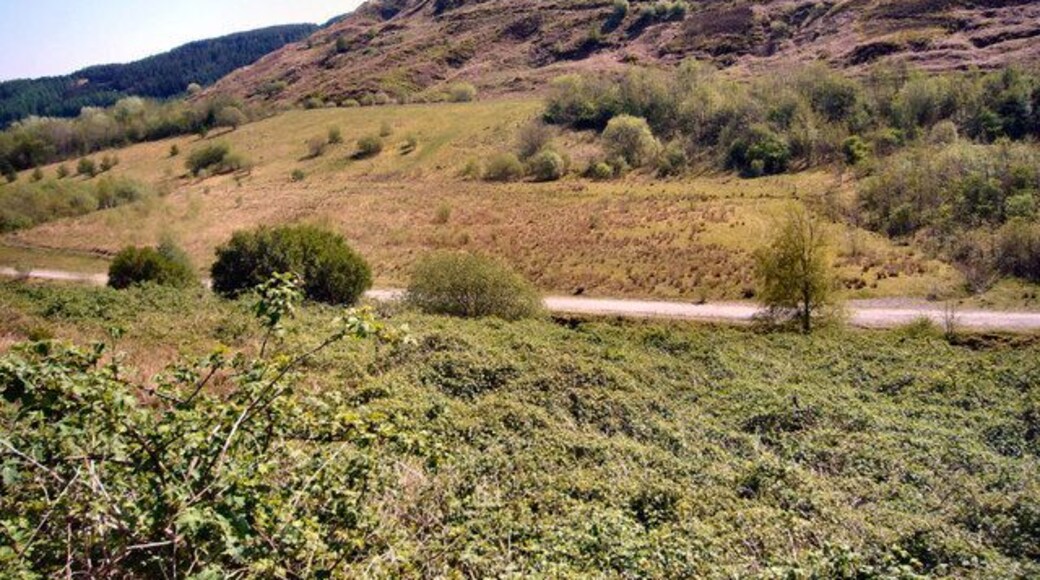 Site of old Pwllyrhebog Railway Line Now a Bridle Path
