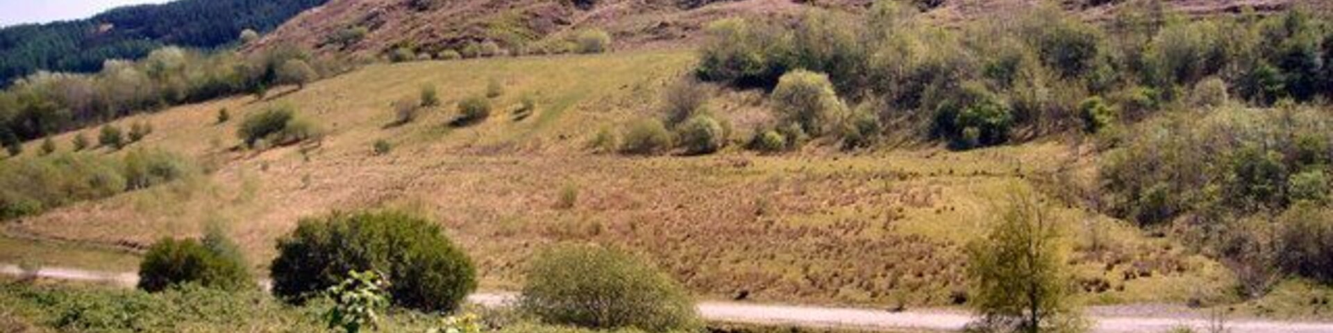 Site of old Pwllyrhebog Railway Line Now a Bridle Path