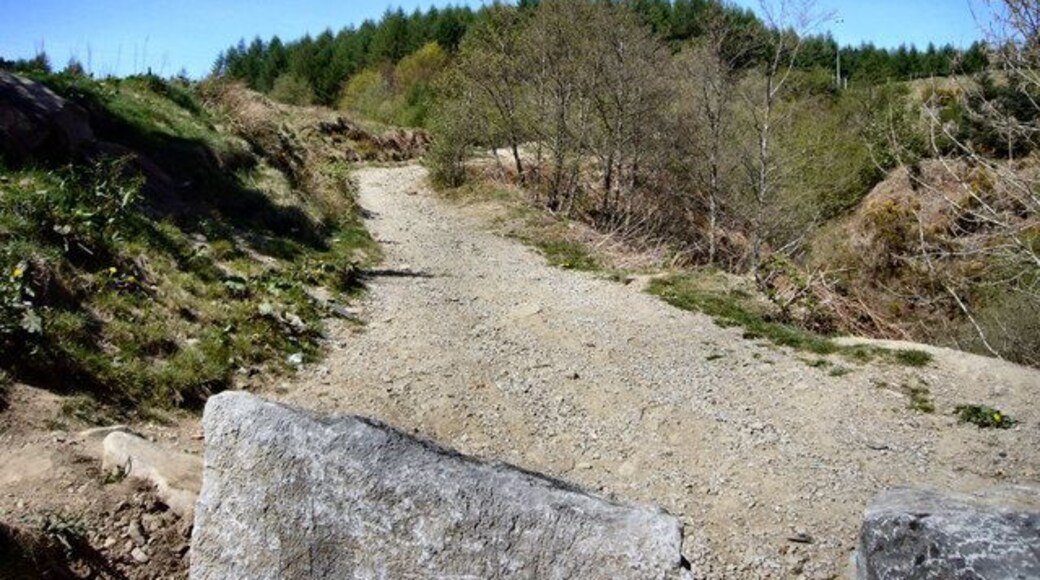 Track to Mynydd Bwllfa