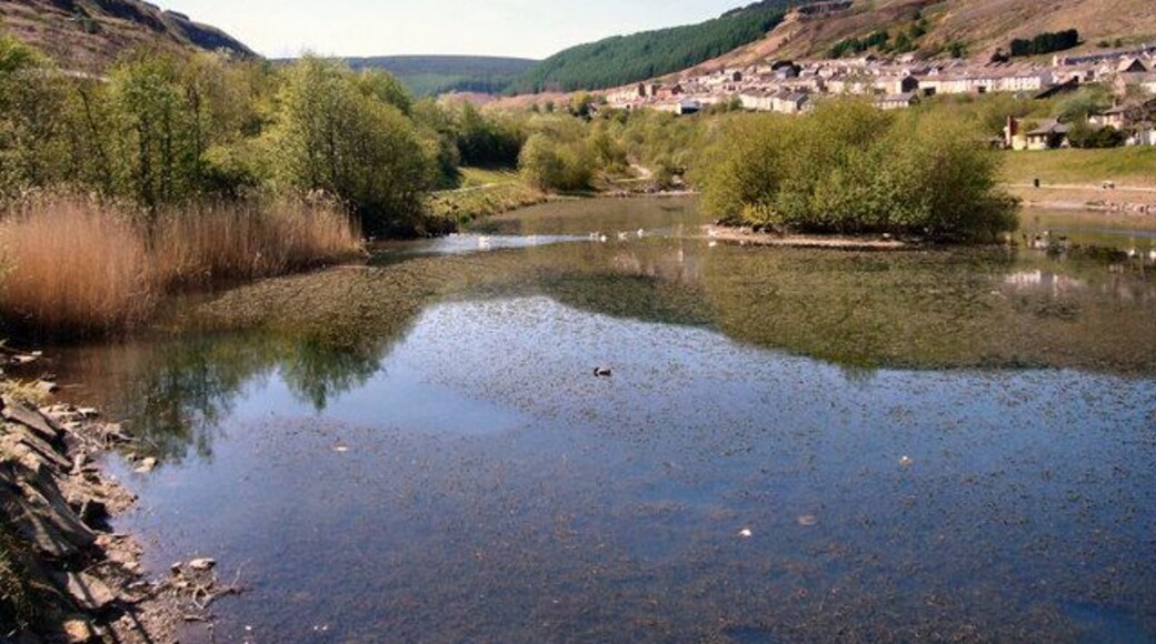 Old Colliery Site Reclamation Scheme Site of the old Gorki Colliery.