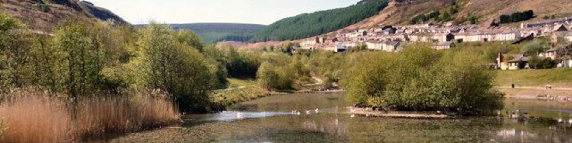 Old Colliery Site Reclamation Scheme Site of the old Gorki Colliery.