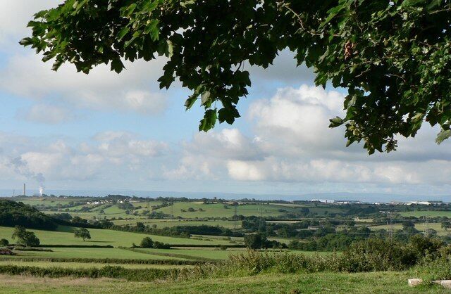 Rolling green hills, a distant wind turbine, and a tree with green leaves.